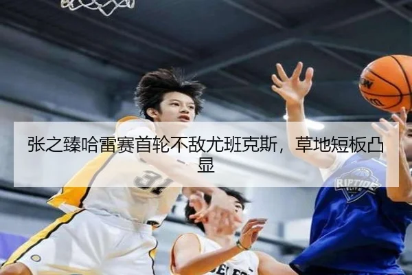 张之臻哈雷赛首轮不敌尤班克斯，草地短板凸显